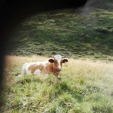 Moisesgut * Bad Hofgastein