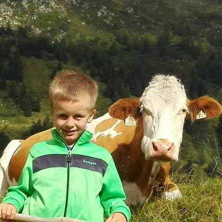 Moisesgut Séjour à la ferme