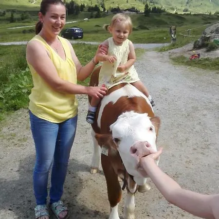 Moisesgut Gospodarstwo agroturystyczne Bad Hofgastein