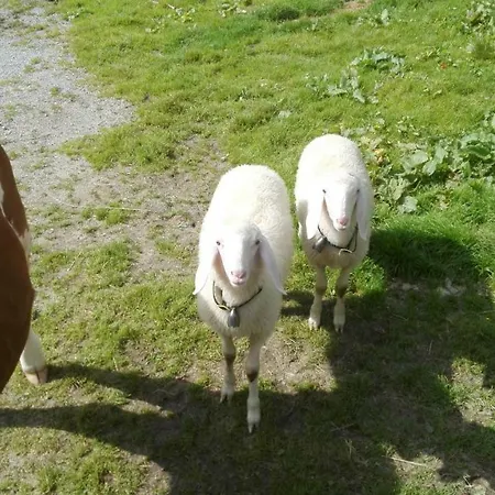 Moisesgut Bad Hofgastein