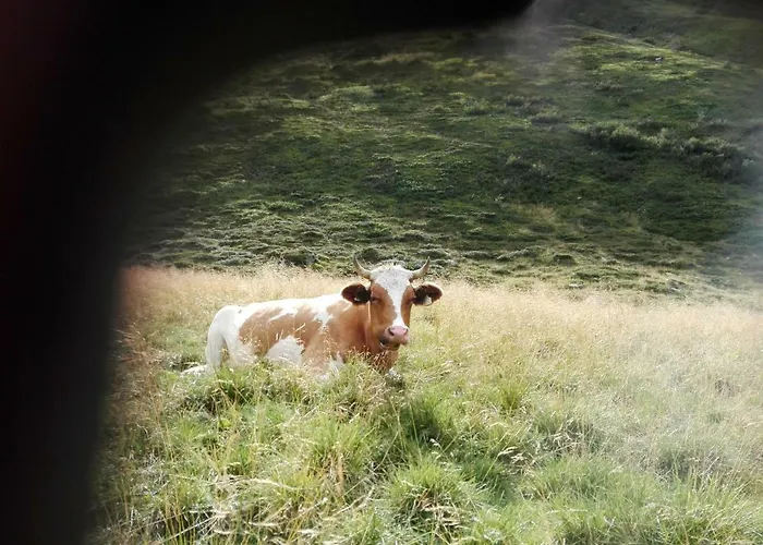 Moisesgut * Bad Hofgastein