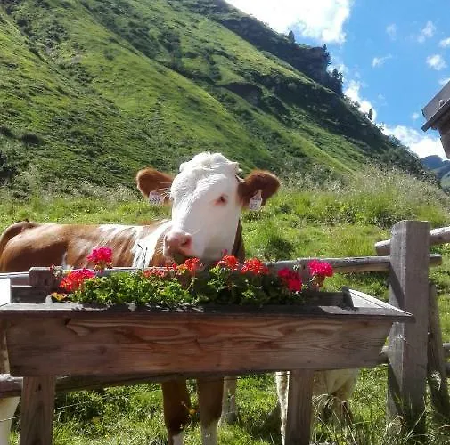 Moisesgut Farmház *