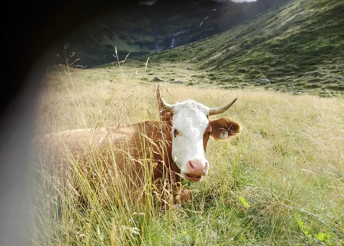 Moisesgut * Bad Hofgastein