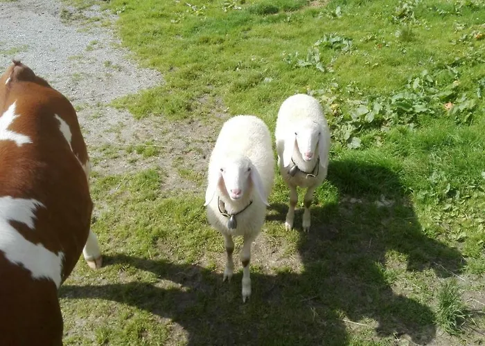 Moisesgut Bad Hofgastein